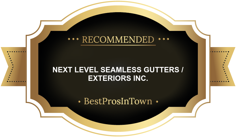 Next Level Seamless Gutters